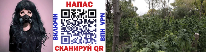 МАРИХУАНА Bruce Banner  Купить закладки  Старица 